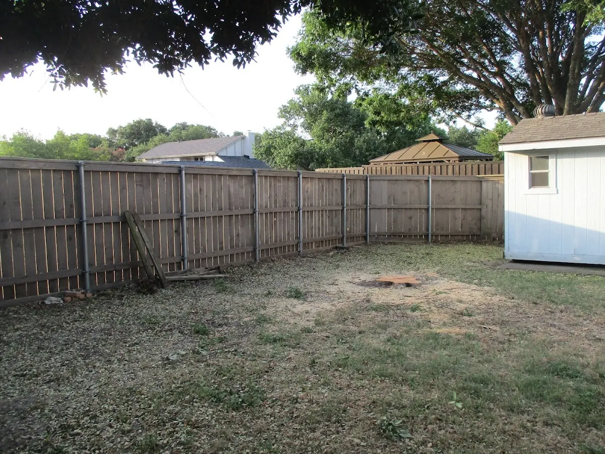 Cleared yard after professional tree removal in Clifton